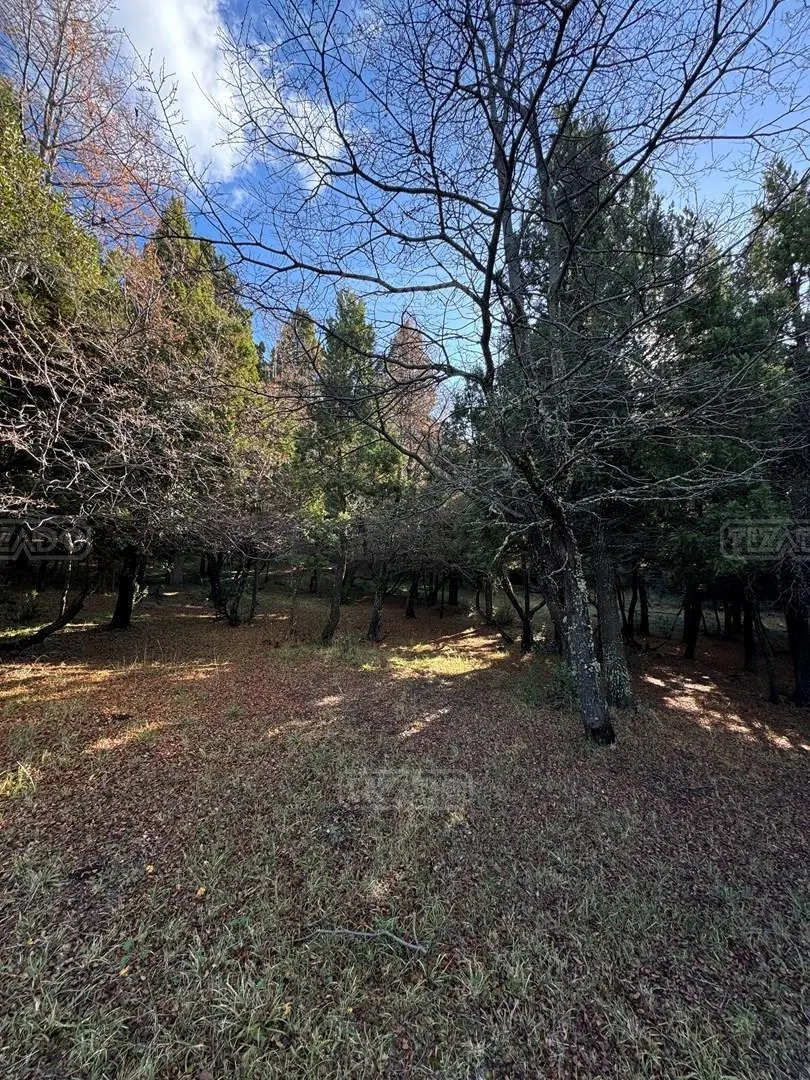 Terreno Lote  en Venta en Jardín Botánico, Bariloche, Patagonia 2