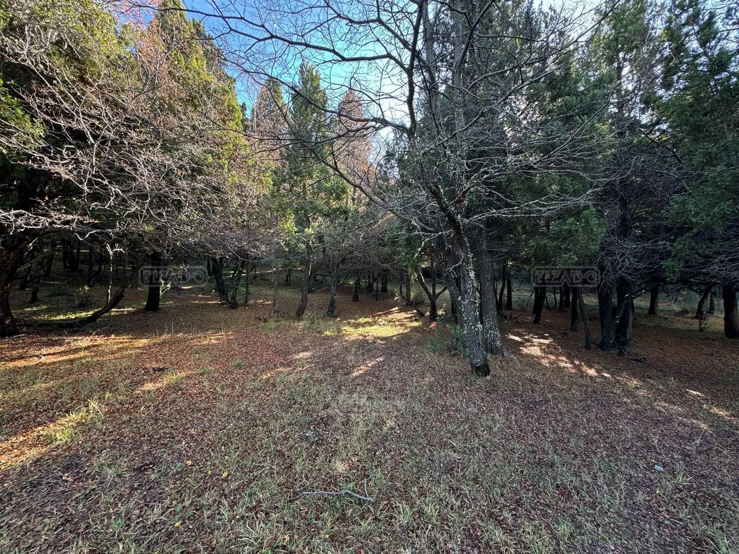 Terreno Lote  en Venta en Jardín Botánico, Bariloche, Patagonia 4