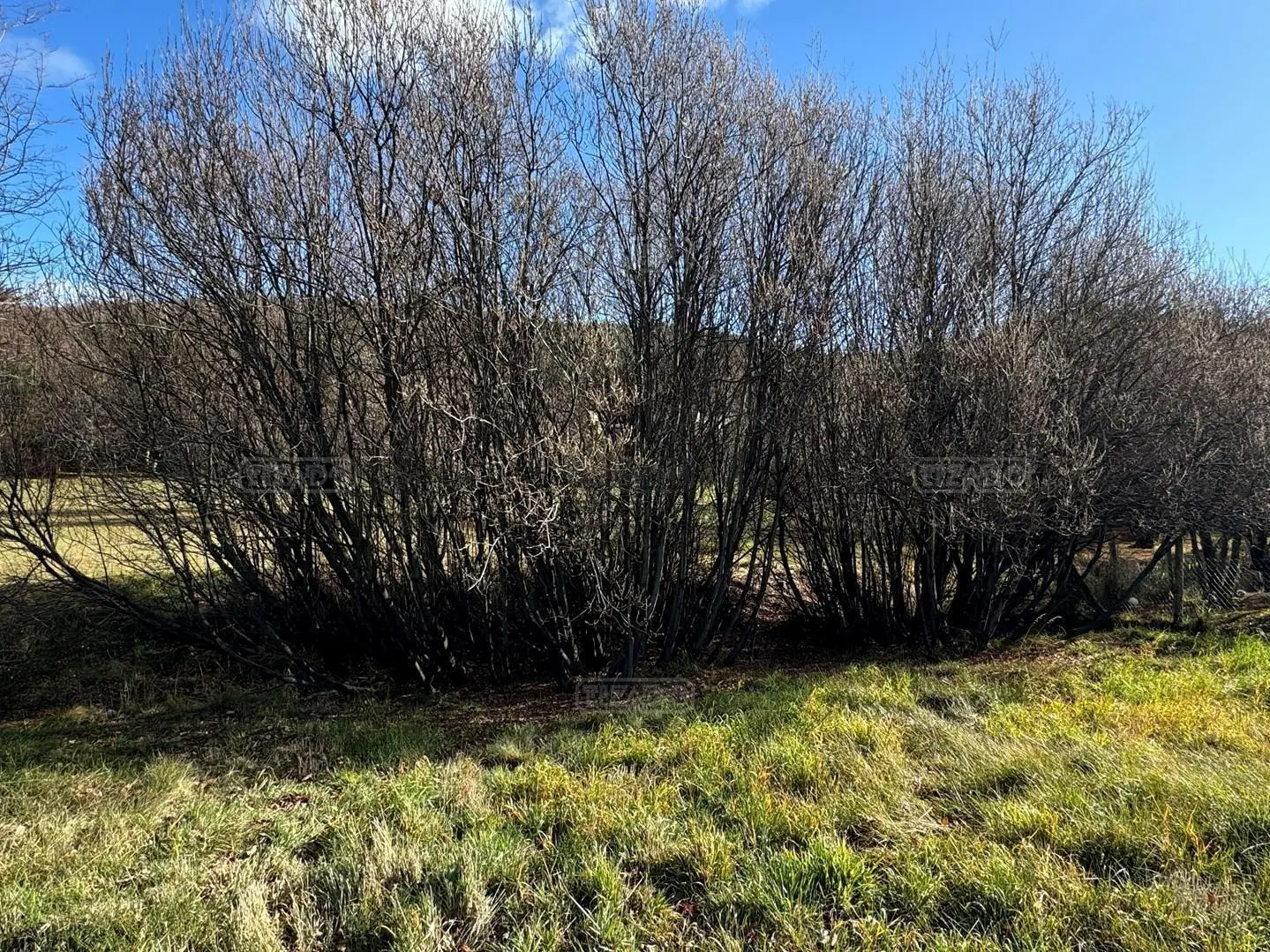 Terreno Lote en Venta en Jardín Botánico, Bariloche, Patagonia 2