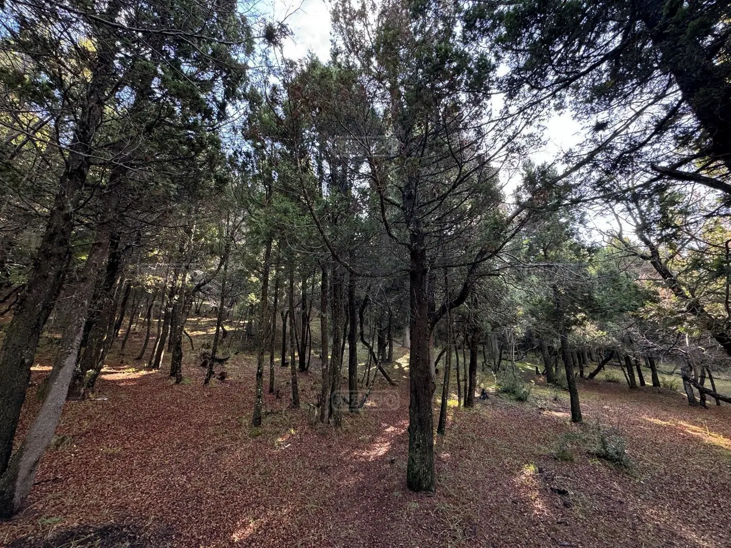 Terreno Lote en Venta en Jardín Botánico, Bariloche, Patagonia 4