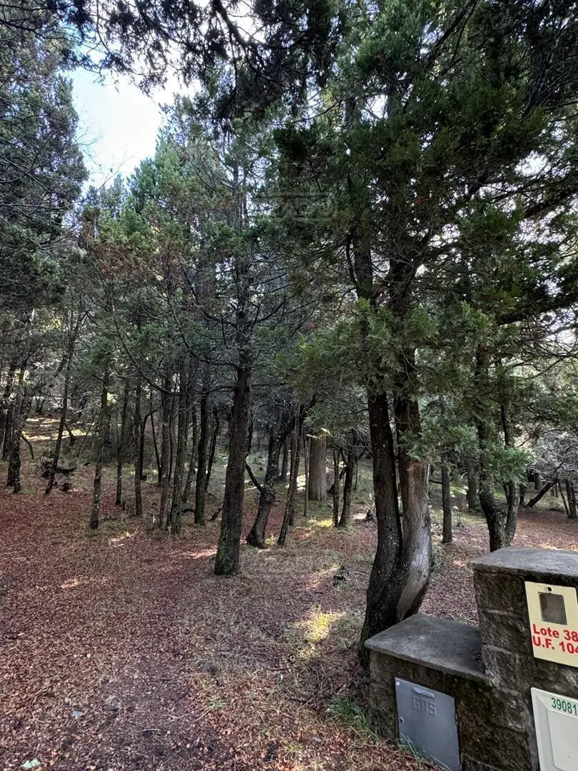 Terreno Lote en Venta en Jardín Botánico, Bariloche, Patagonia 2