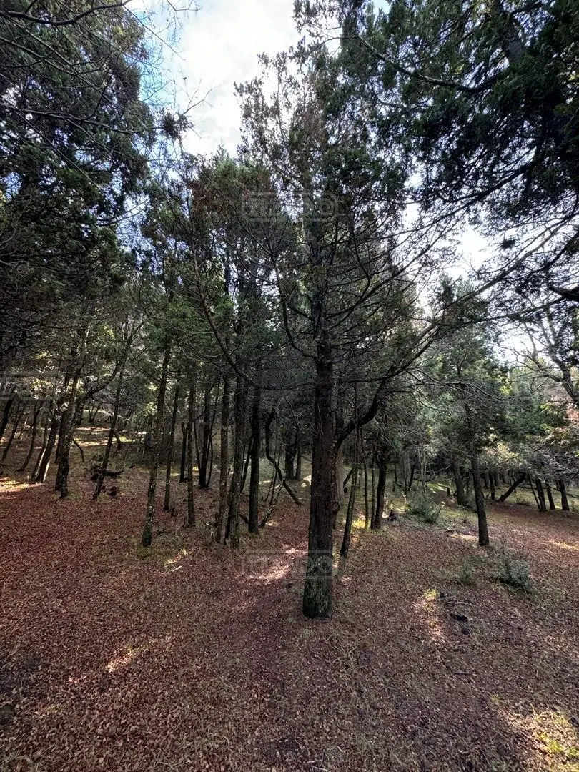 Terreno Lote en Venta en Jardín Botánico, Bariloche, Patagonia 5