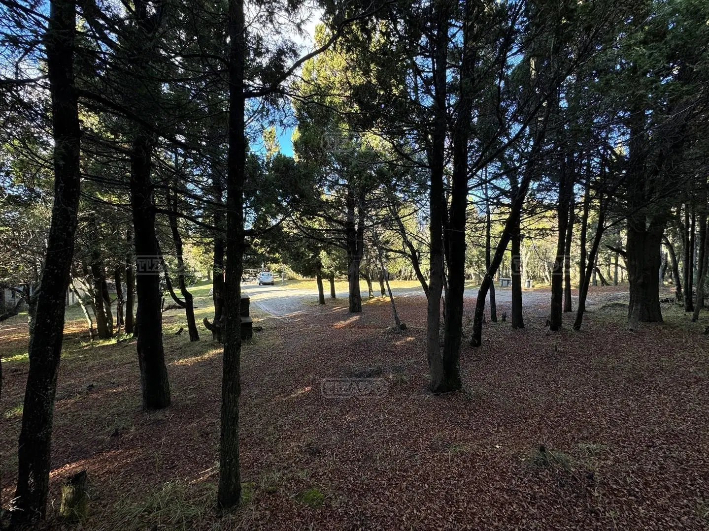 Terreno Lote en Venta en Jardín Botánico, Bariloche, Patagonia 3