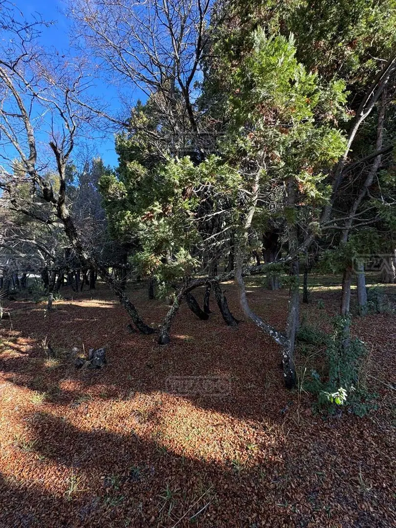 Terreno Lote  en Venta en Jardín Botánico, Bariloche, Patagonia 3