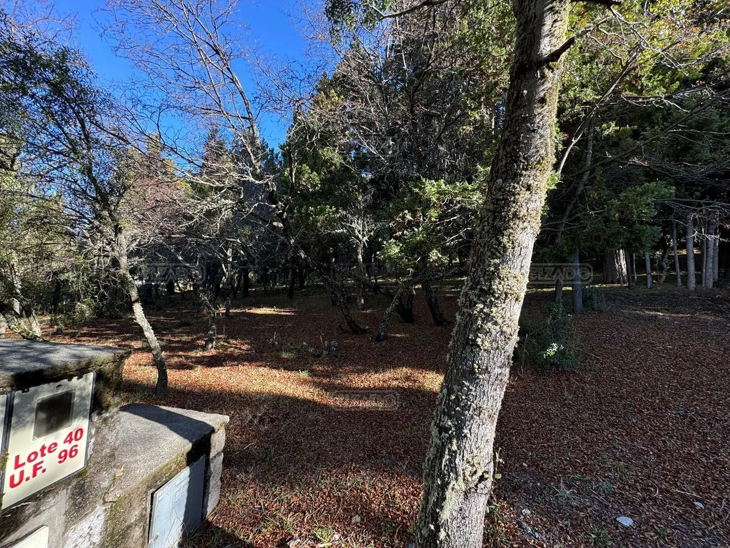 Terreno Lote  en Venta en Jardín Botánico, Bariloche, Patagonia 2