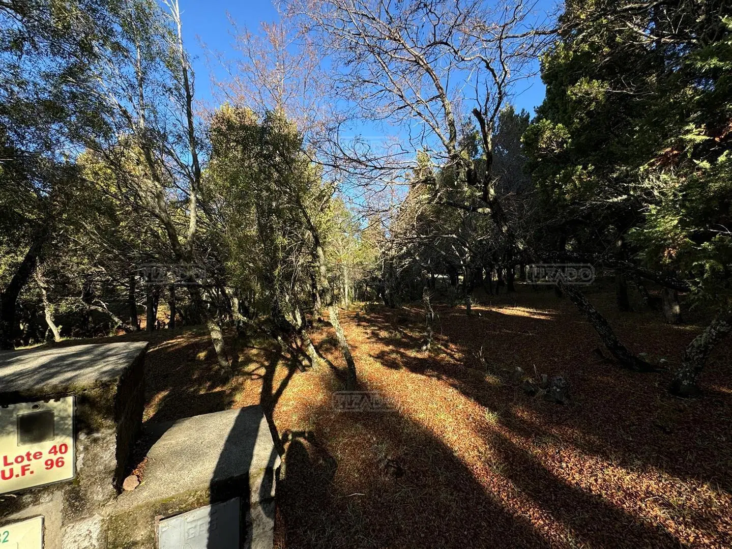 Terreno Lote  en Venta en Jardín Botánico, Bariloche, Patagonia 4