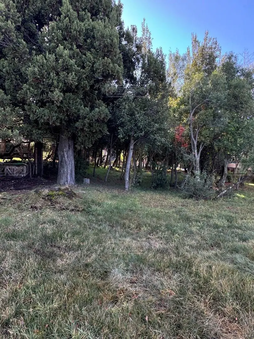 Terreno Lote  en Venta en Jardín Botánico, Bariloche, Patagonia 2