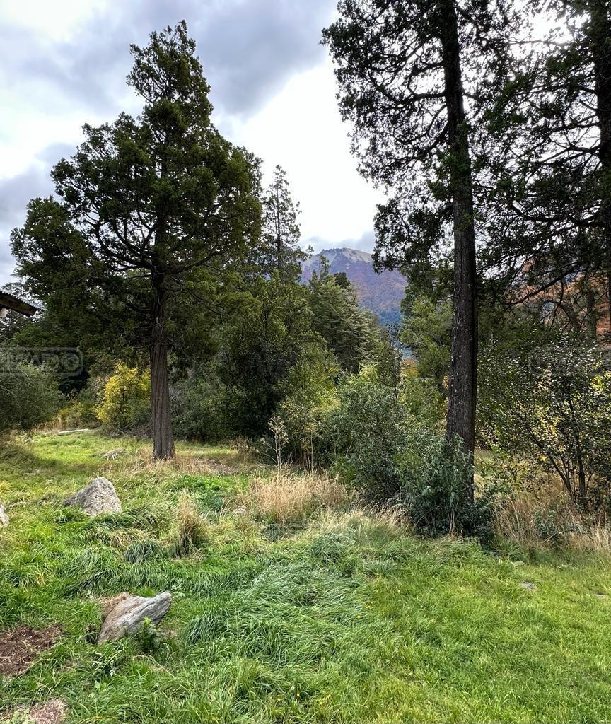 Foto de Terreno Fraccion en Venta en Lago Gutiérrez, Bariloche, Patagonia, imagen 1