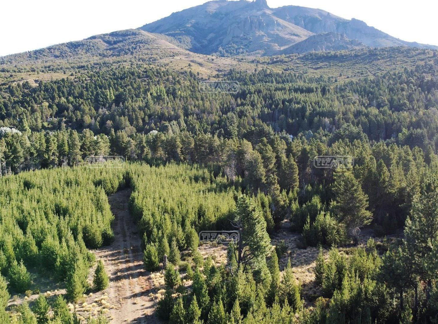 Foto de Terreno Lote en Venta en Dos Valles, Bariloche, Patagonia, imagen 1