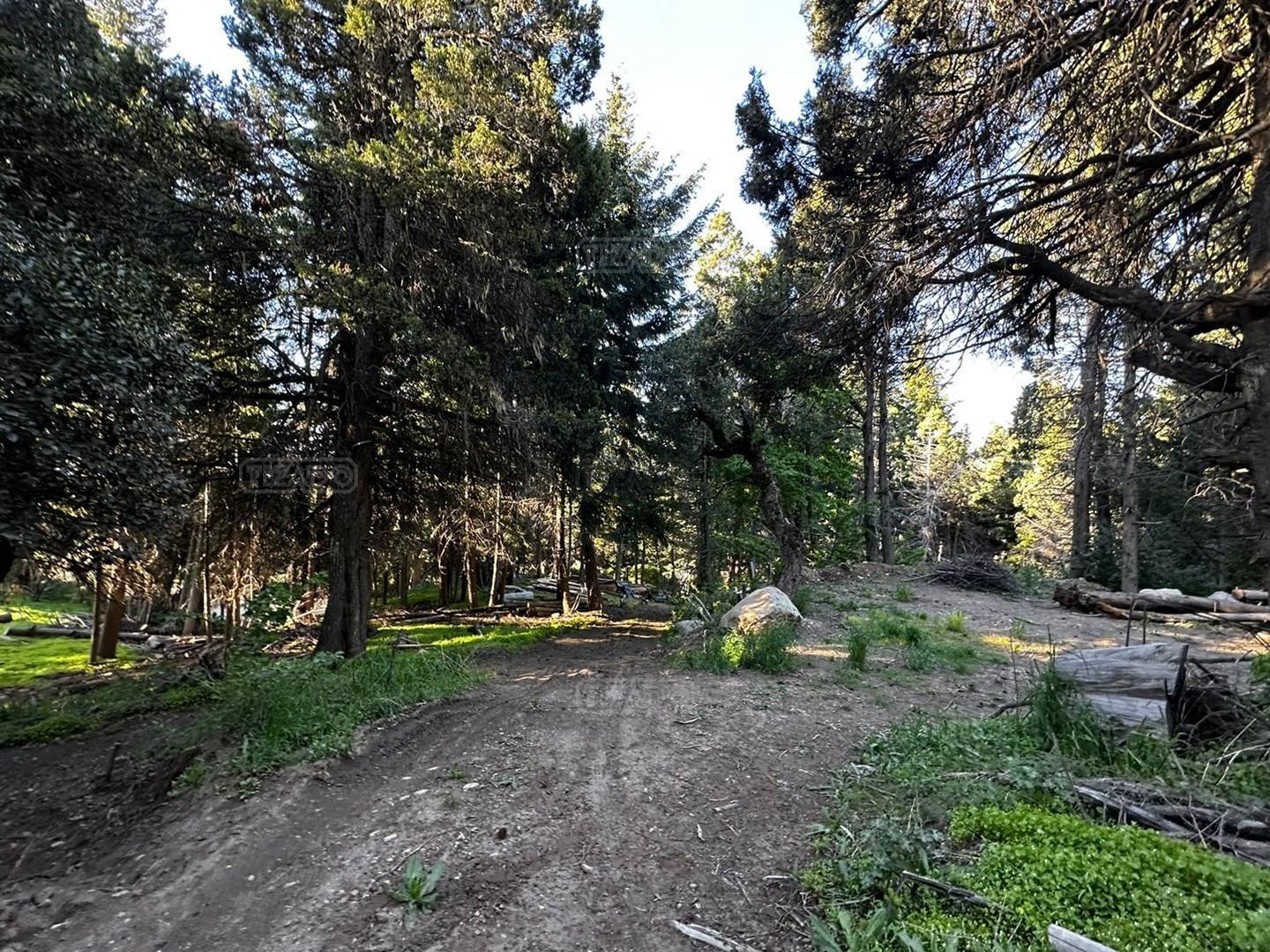 Foto de Terreno Lote en Venta ubicado en Cerro Otto, Bariloche, imagen 5