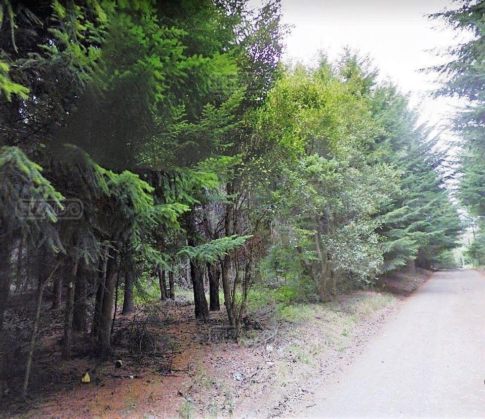 Foto de Terreno Lote en Venta ubicado en Villa Campanario, Bariloche, imagen 5