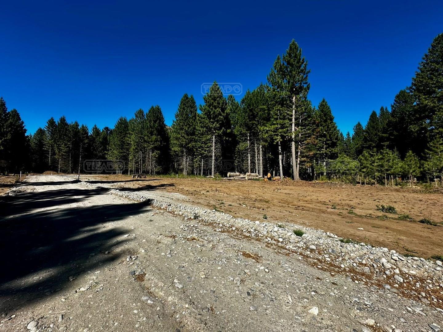 Foto de Terreno Lote en Venta en Pájaro Azul, Bariloche, Patagonia, imagen 4