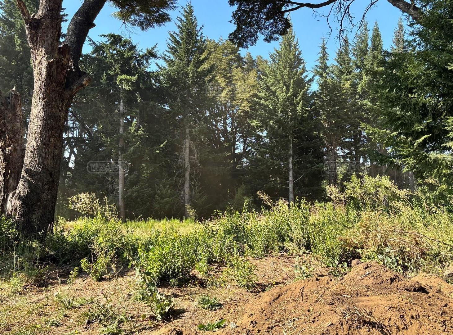 Foto de Terreno Lote en Venta en Villa Campanario, Bariloche, Patagonia, imagen 1