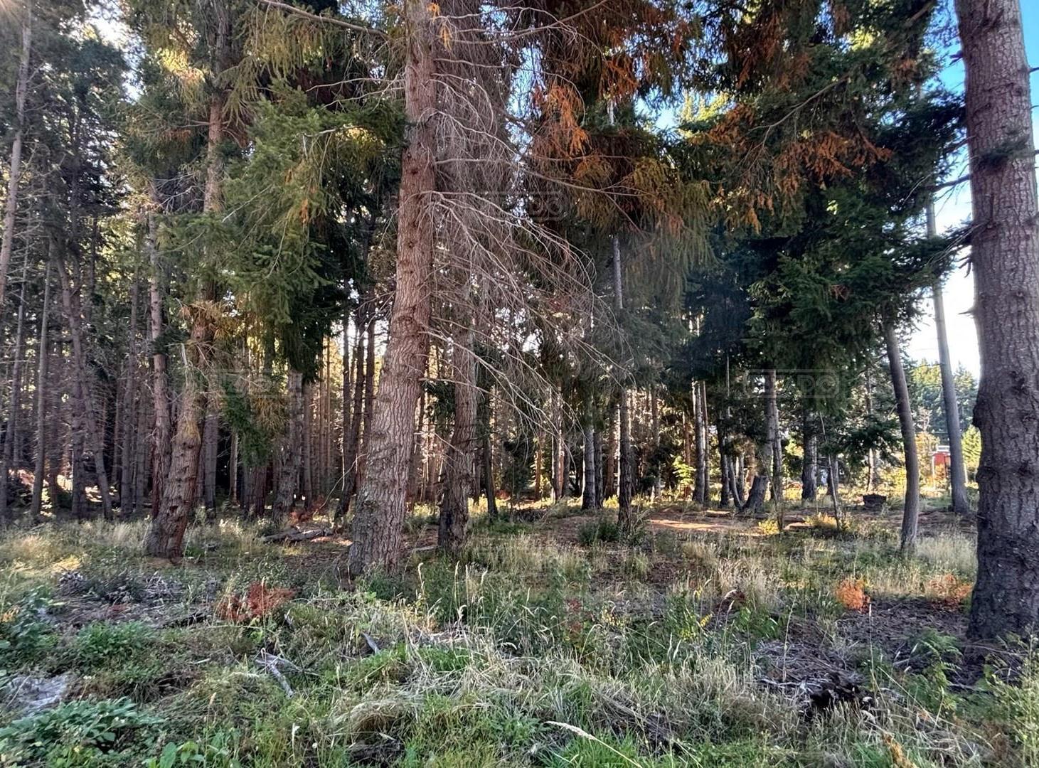 Foto de Terreno Lote en Venta en Villa Campanario, Bariloche, Patagonia, imagen 4