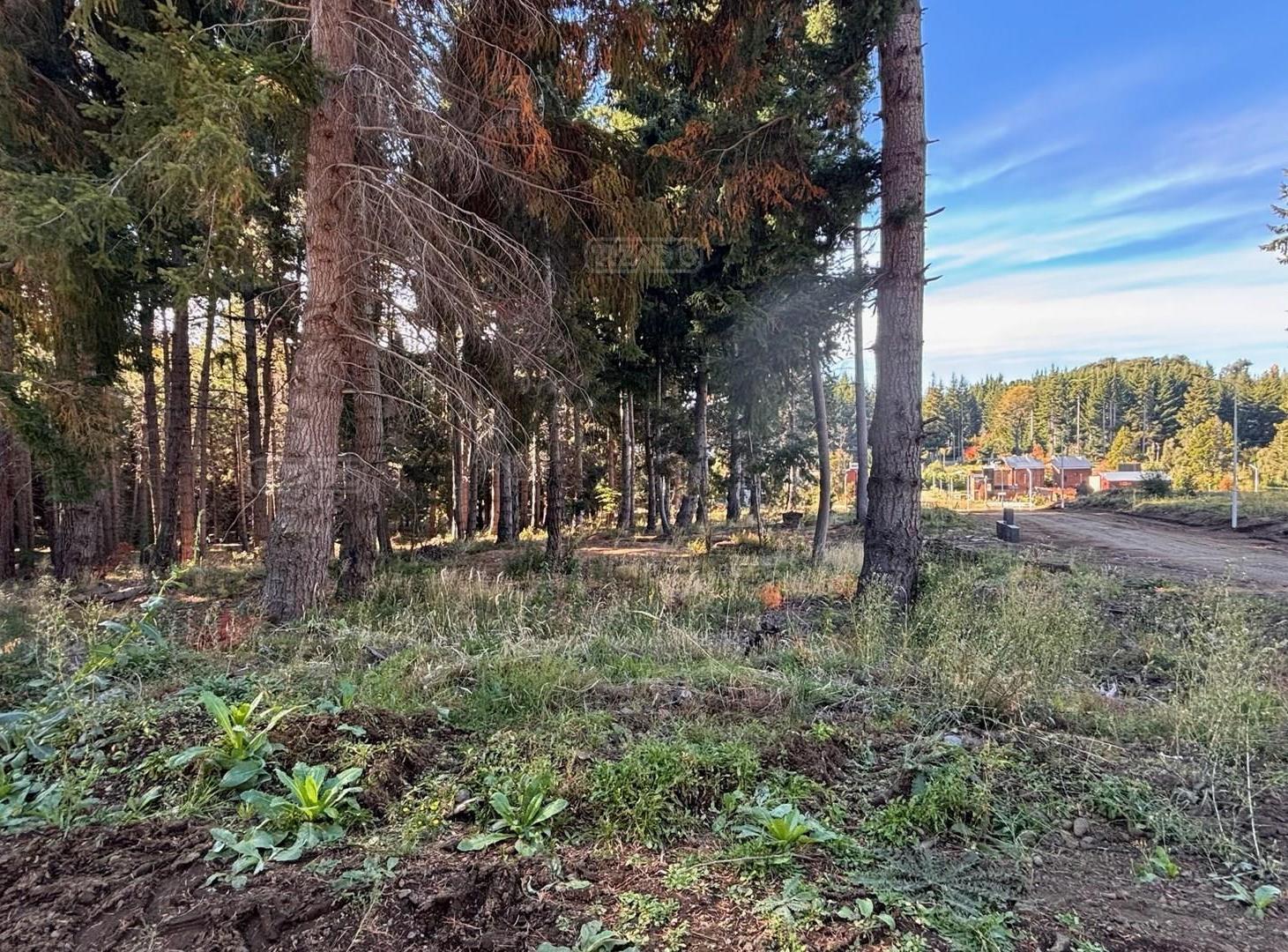 Foto de Terreno Lote en Venta en Villa Campanario, Bariloche, Patagonia, imagen 5