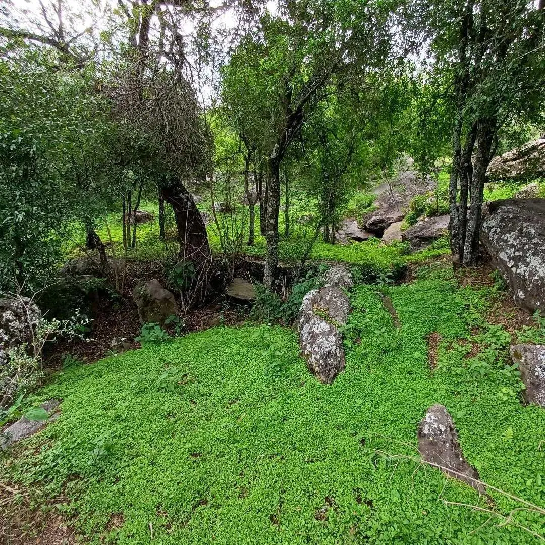 VENDO LOTE -CUESTA BLANCA 8