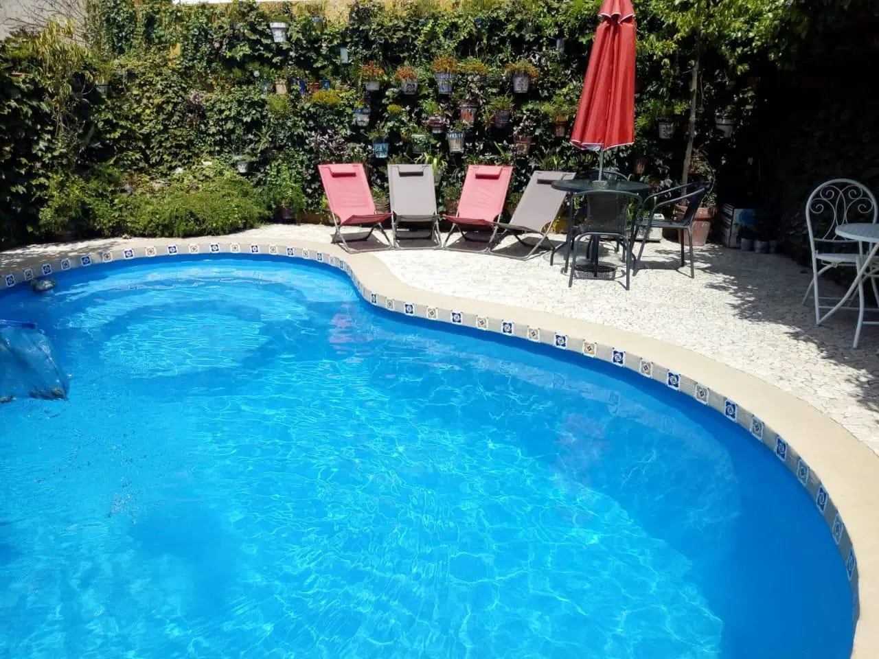 Casa en Córdoba 8