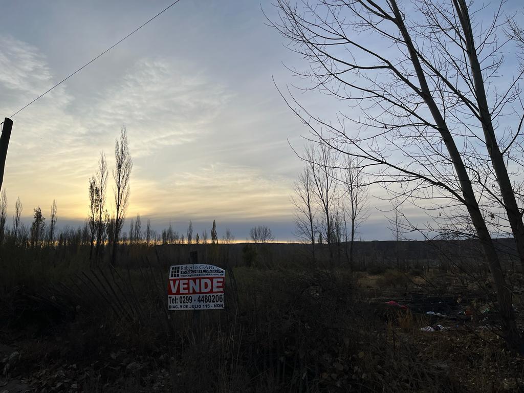 Venta - Excelente Oportunidad! – 10,6 Ha – Plottier - Nqn Cap 2
