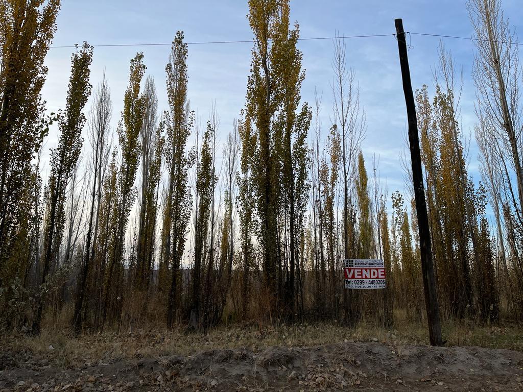 Venta - Excelente Oportunidad! – 10,6 Ha – Plottier - Nqn Cap 5
