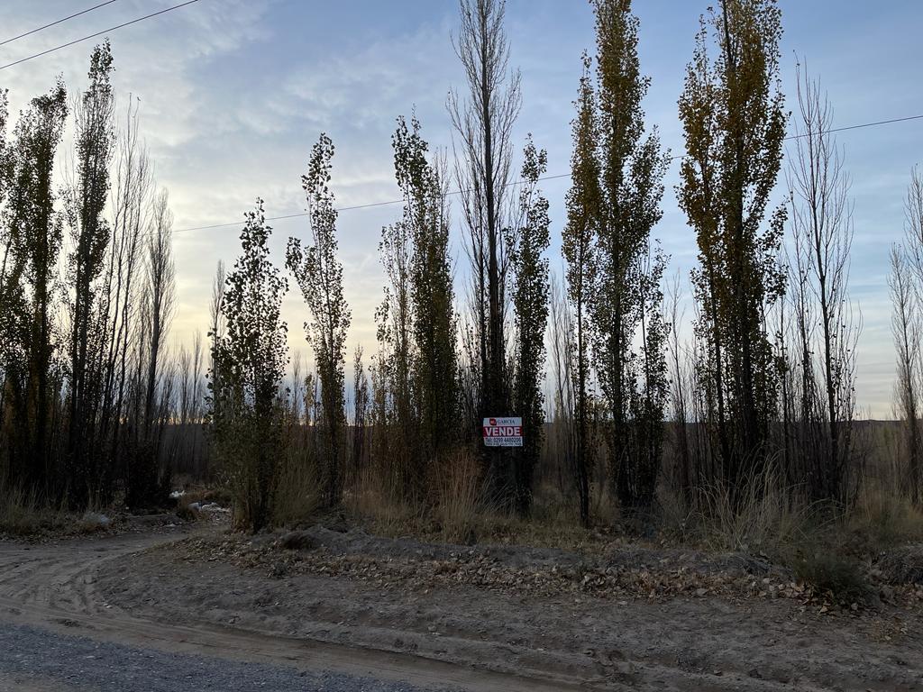Venta - Excelente Oportunidad! – 10,6 Ha – Plottier - Nqn Cap 3