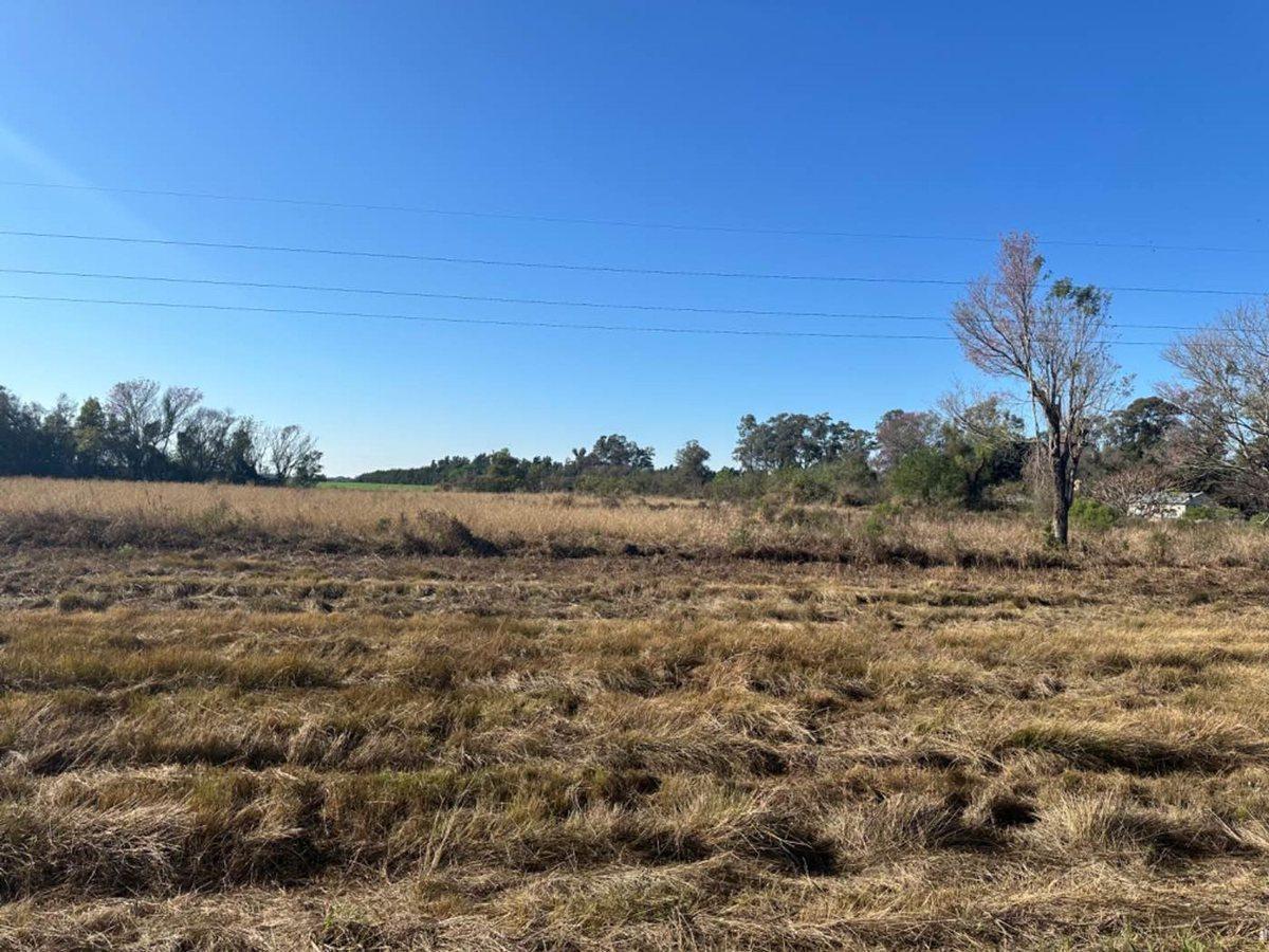 Campo en Venta Reconquista Sobre Ruta 11 1