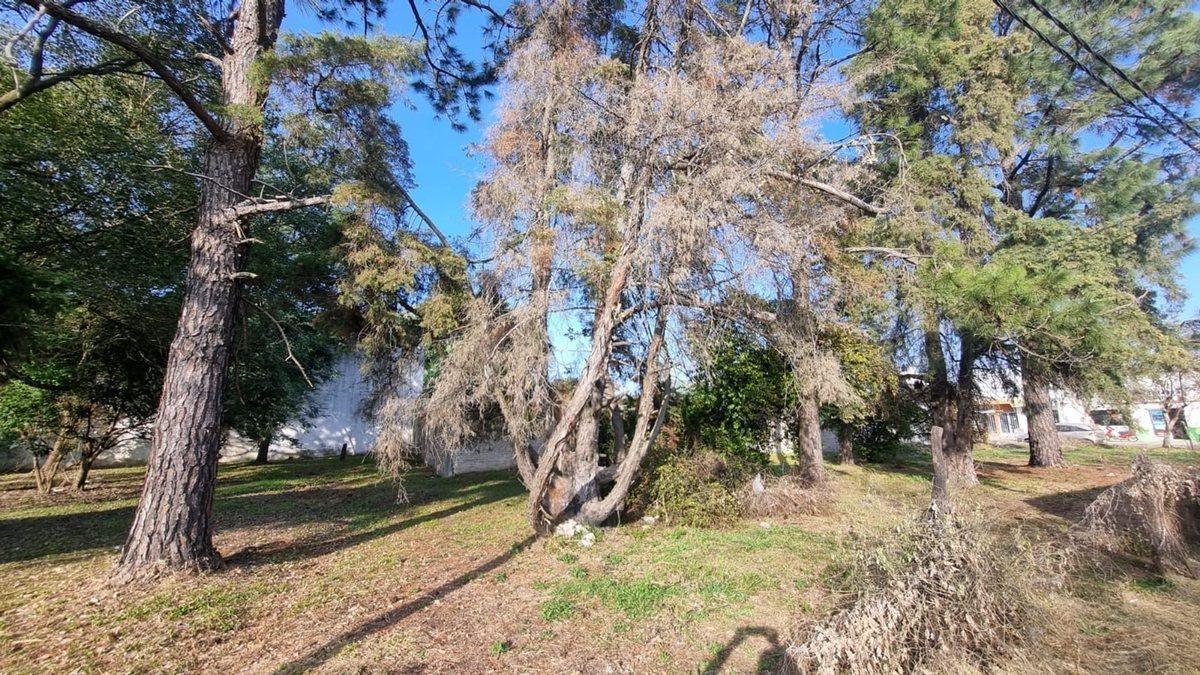 Se Vende Lote Barrio Chapero. 2