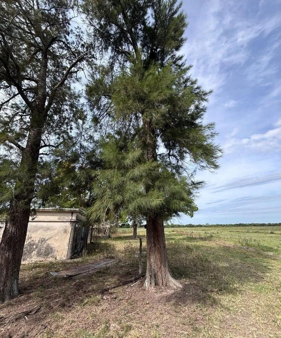 Venta de campo mixto en la Sarita 4