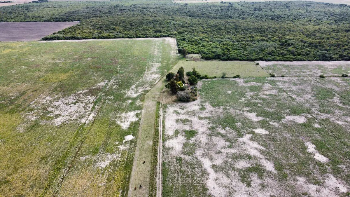Venta de campo mixto en la Sarita 5
