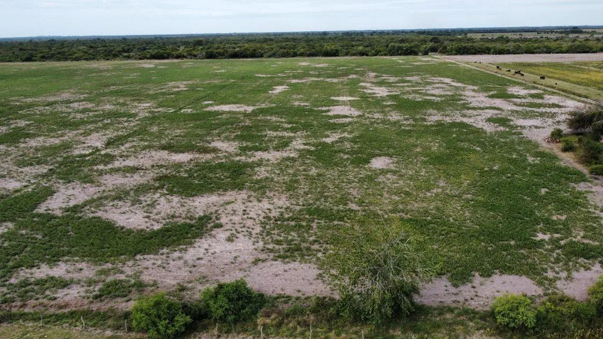 Venta de campo mixto en la Sarita 3