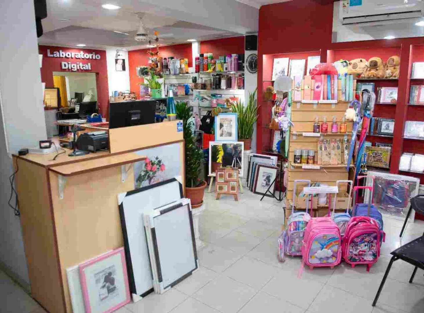 Casa con Local en Venta sobre Patricio Diez 4