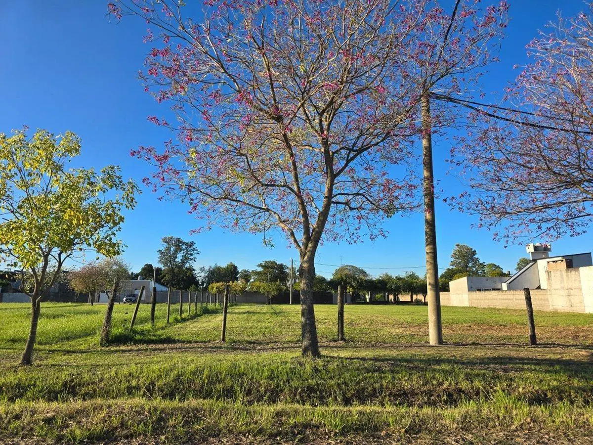 Se vende Lote en Barrio Lanceros del Sauce 3