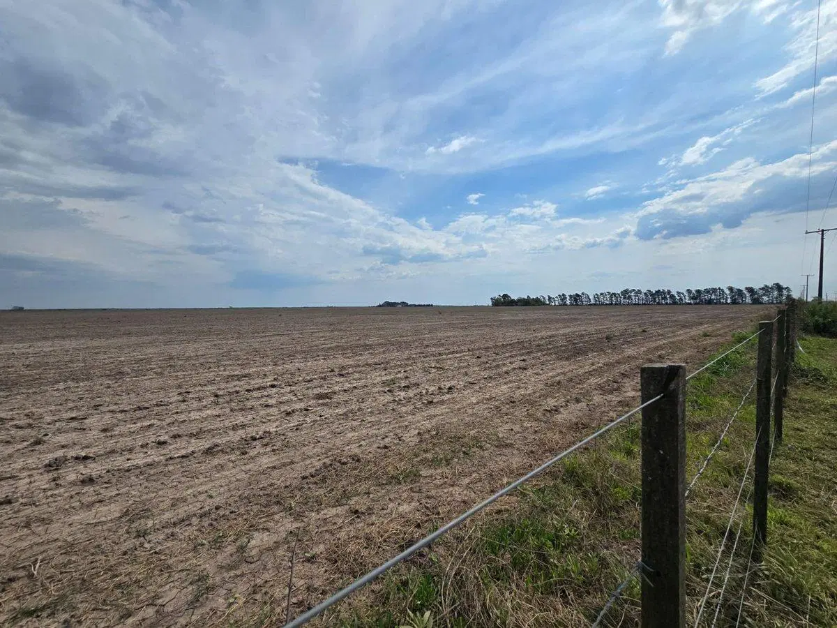 Se vende campo agrícola 3