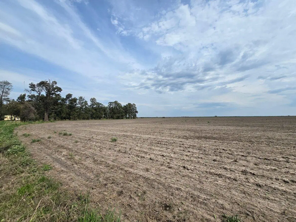 Se vende campo agrícola 2