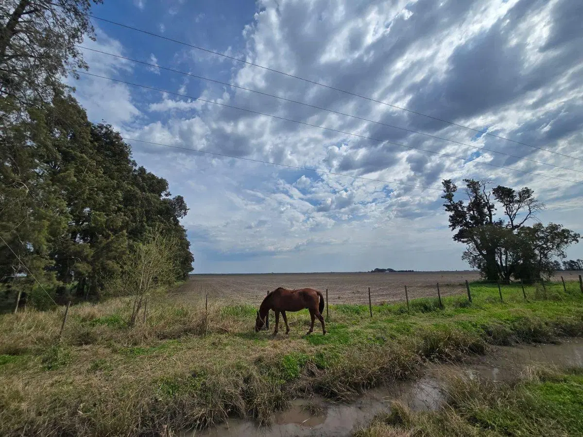 Se vende campo agrícola 4