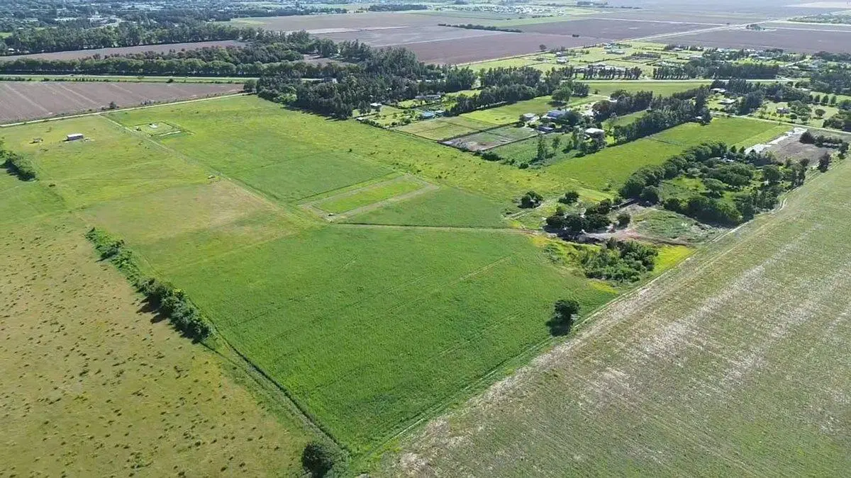 Se vende lote en zona rural de Avellaneda 2