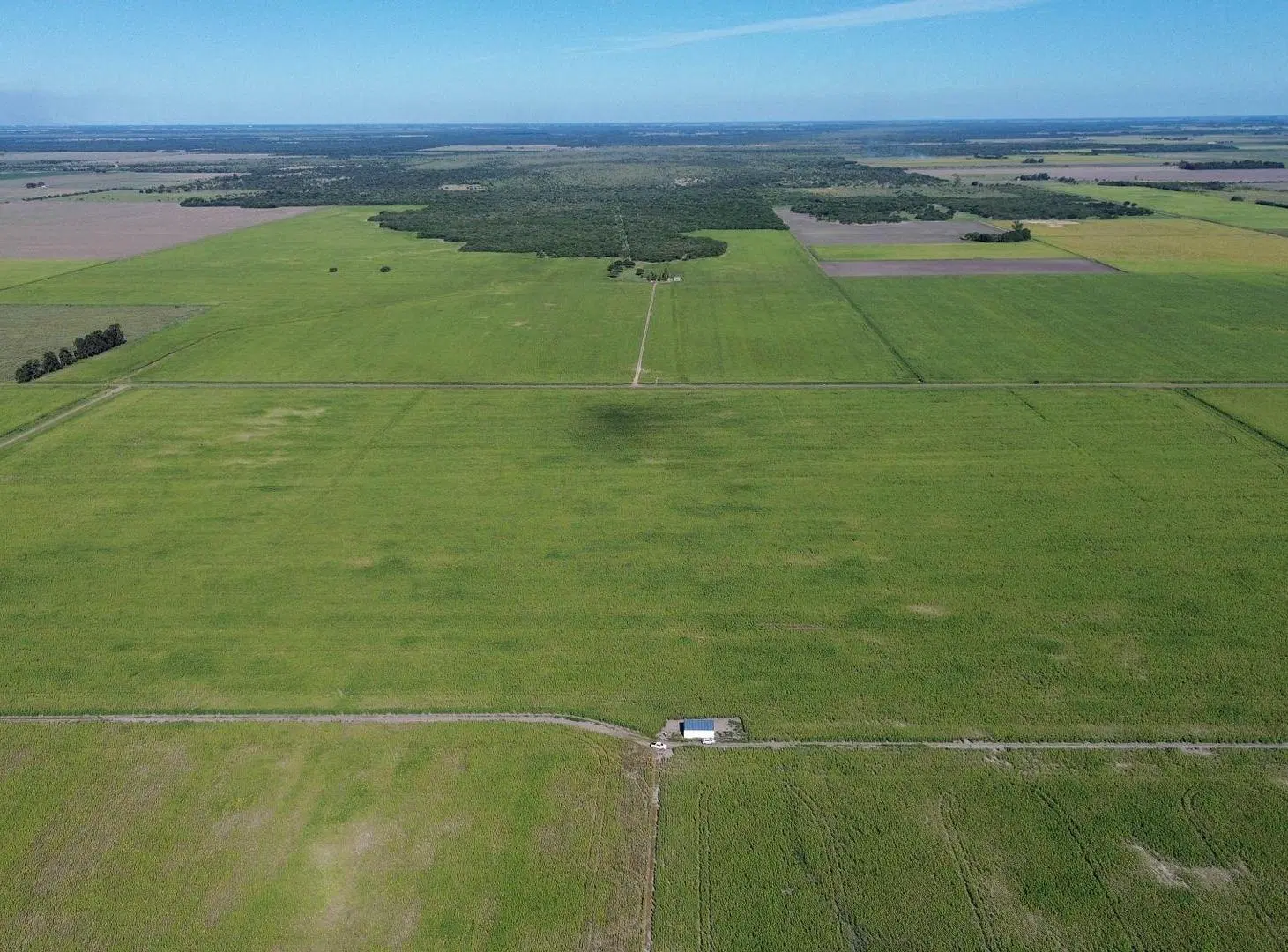Campo mixto en MALABRIGO (Santa Fe) 2