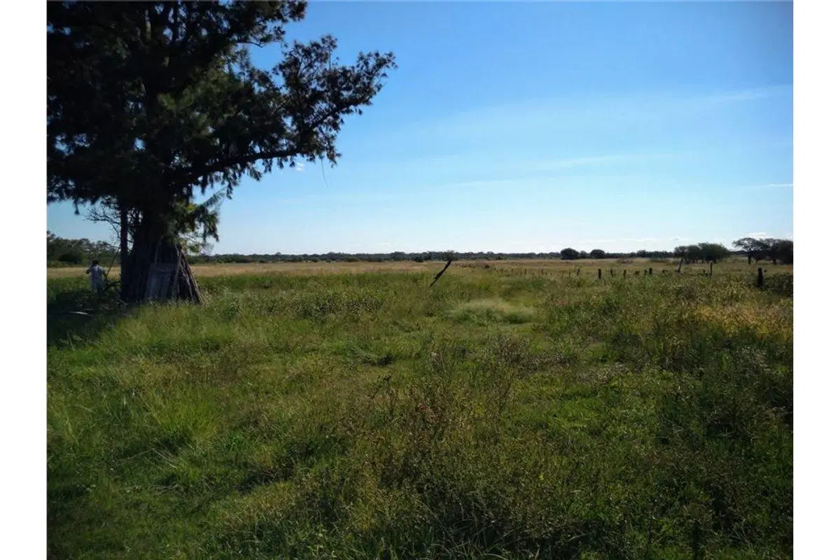 SE VENDE CAMPO GANADERO EN MARGARITA 4