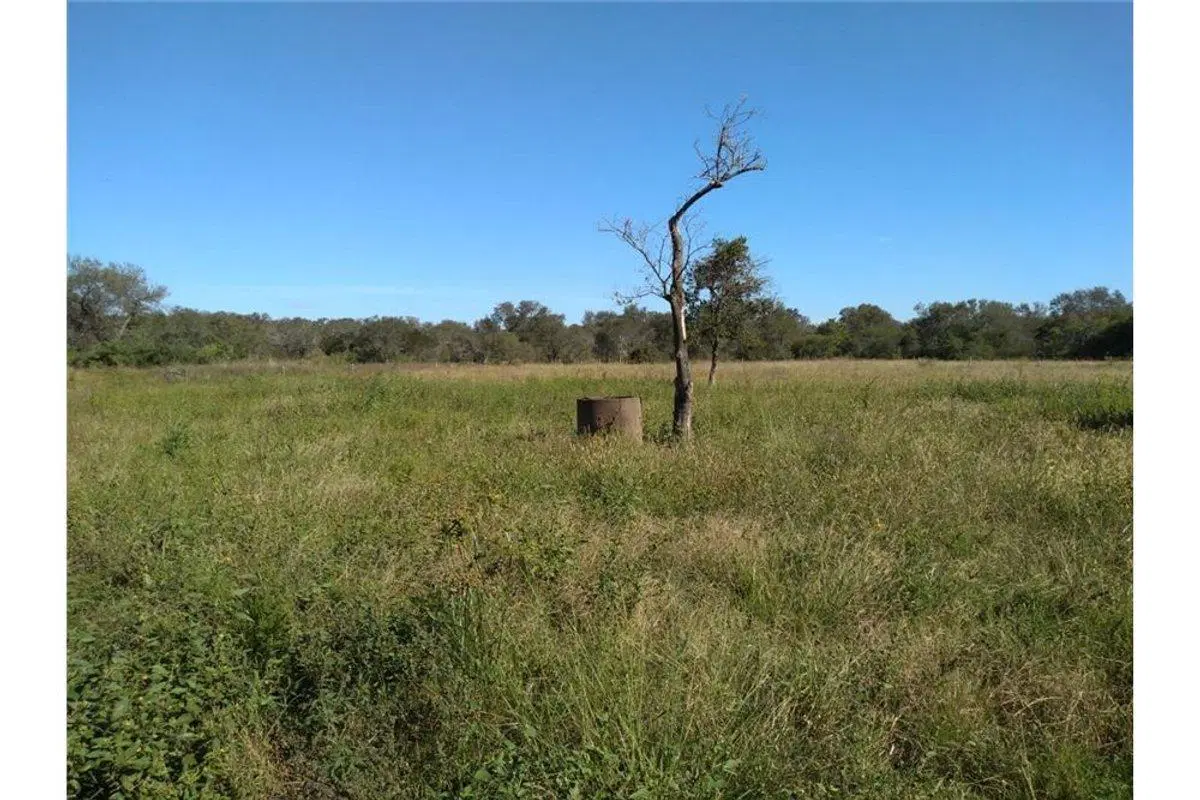SE VENDE CAMPO GANADERO EN MARGARITA 3