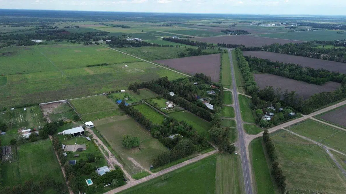SE VENDE LOTE DE 2.19Ha. - Avellaneda -Santa Fe.- 5