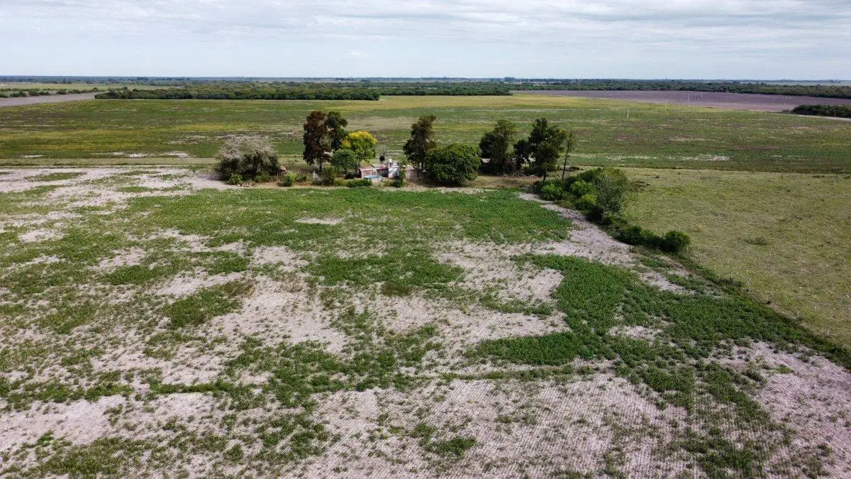 Venta de campo mixto en la Sarita 4