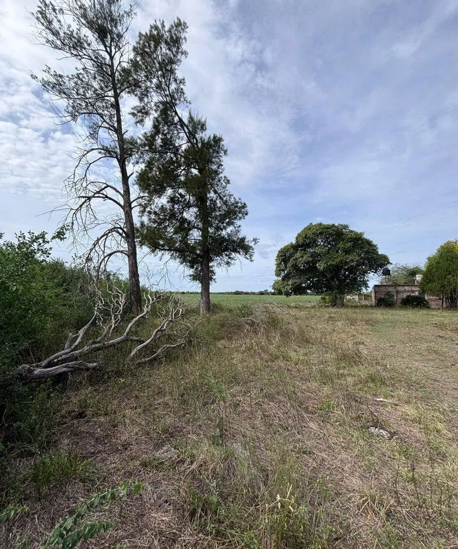 Venta de campo mixto en la Sarita 2