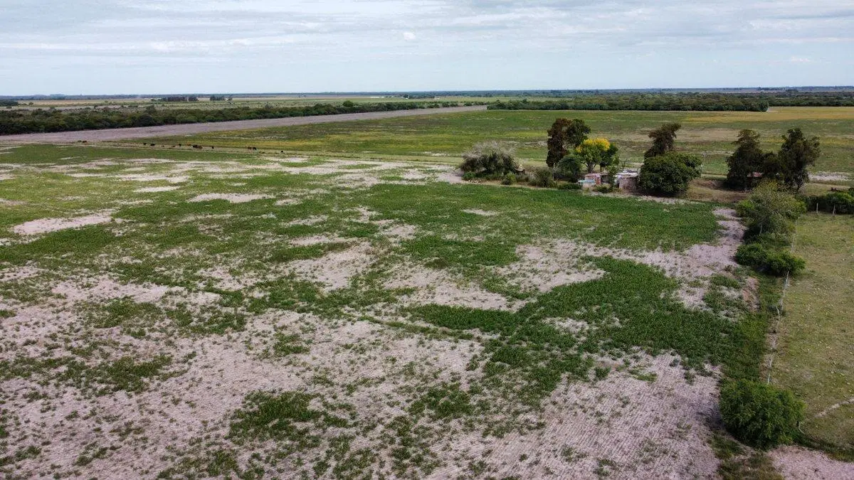 Venta de campo mixto en la Sarita 5