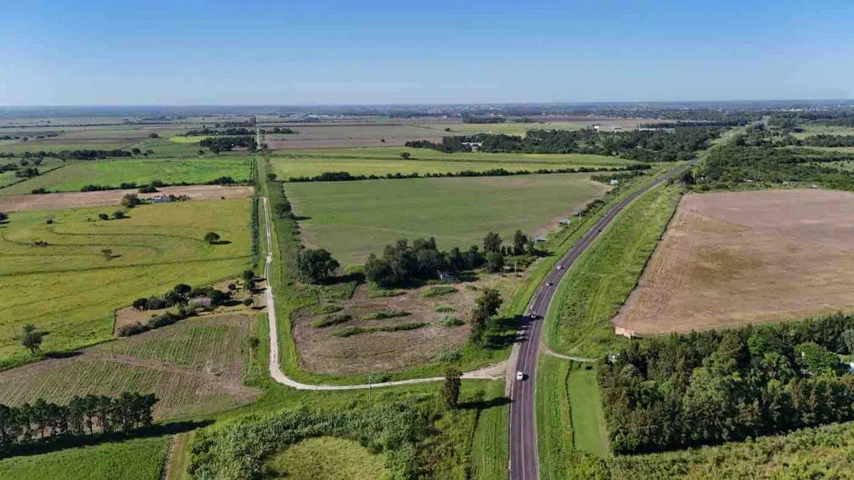 LOTE sobre Ruta RN N11 en AVELLANEDA (Santa Fe) 4