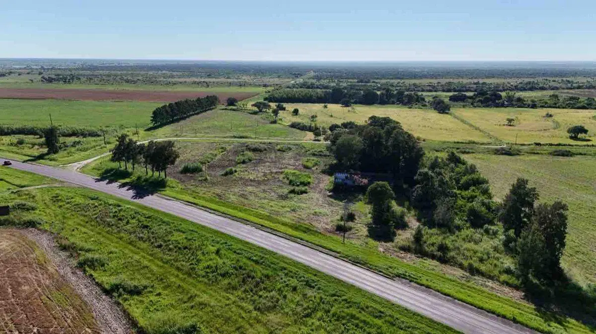LOTE sobre Ruta RN N11 en AVELLANEDA (Santa Fe) 3
