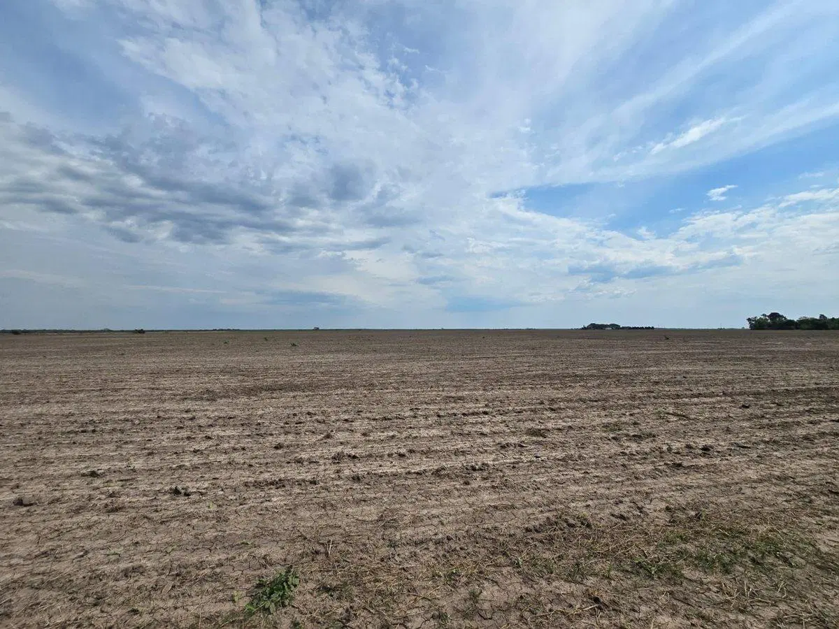 Se vende campo agrícola 5