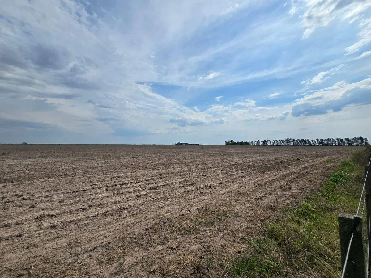 Se vende campo agrícola 3