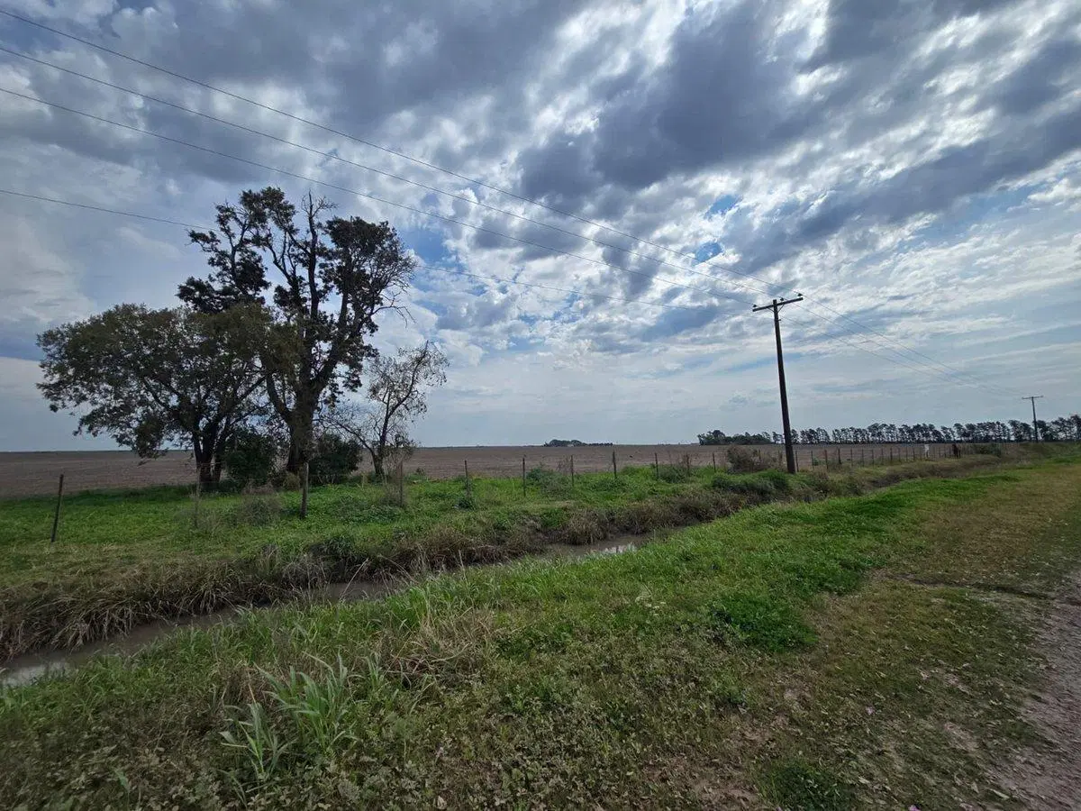 Se vende campo agrícola 4