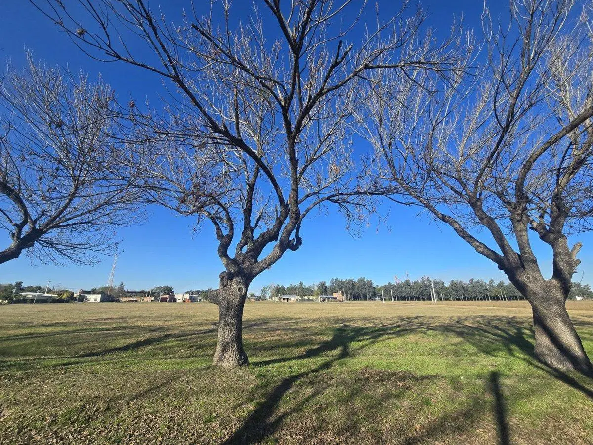 Se vende Lote en Los Laureles . 3