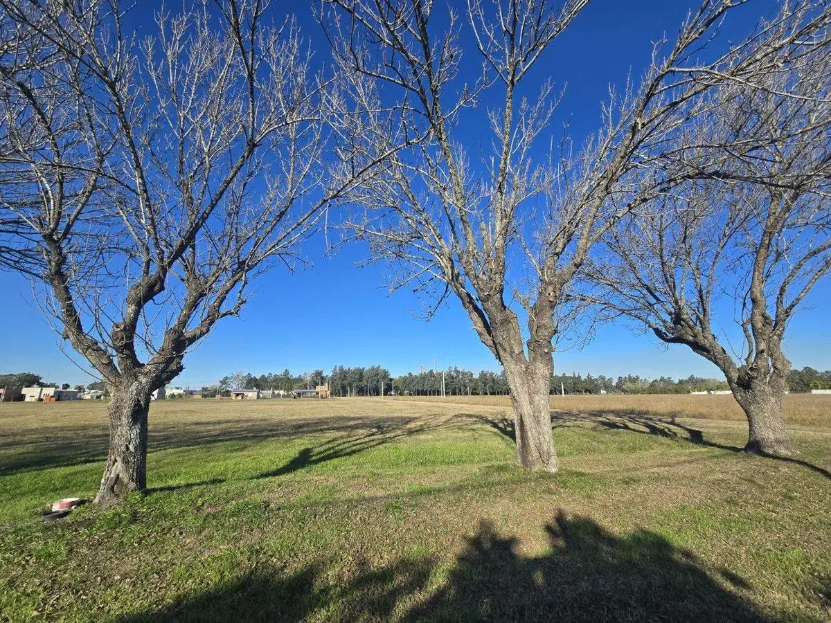 Se vende Lote en Los Laureles . 2
