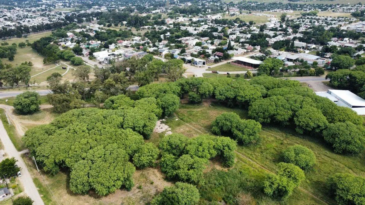 Terreno comercial sobre Ruta 11 2